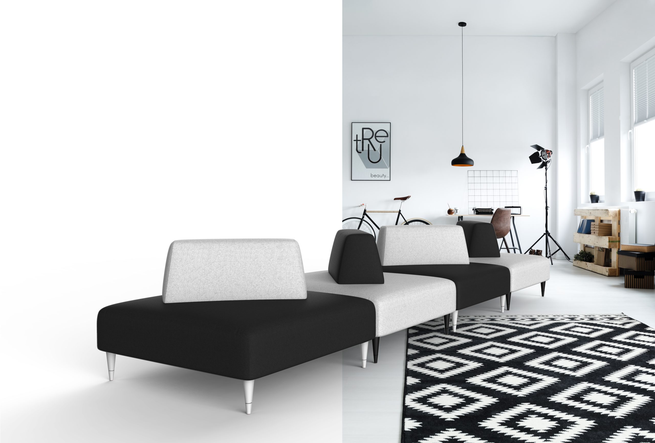 Multifunctional, black and white room